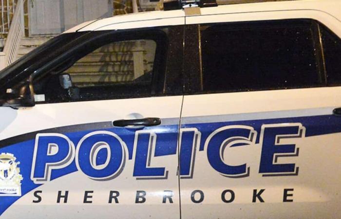 Detenido en Sherbrooke un hombre que incitaba a la multitud a atacar a la policía