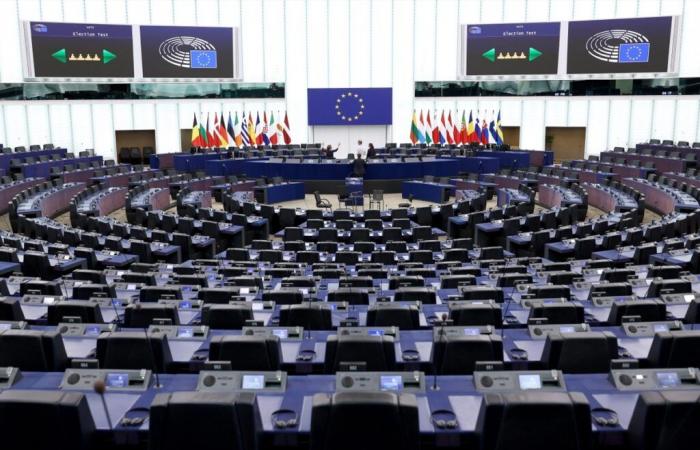 Un académico invitado al Parlamento Europeo despierta la indignación de algunos eurodiputados