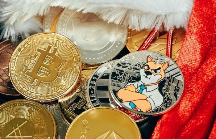 ¿Qué futuro para las memecoins con bitcoin al precio más alto?