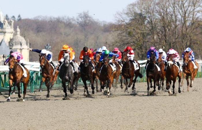 Predicciones de carreras de caballos para el martes 19 de noviembre de 2024