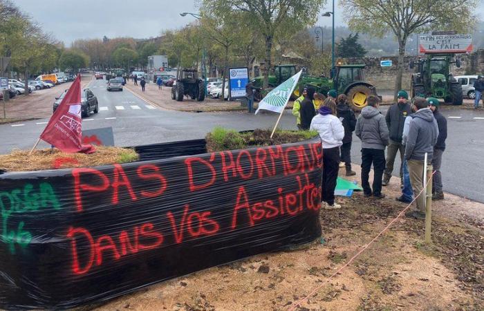 Ira de los agricultores: “Es desgarrador”, “Alto al agricidio”, Muchos agricultores en la calle