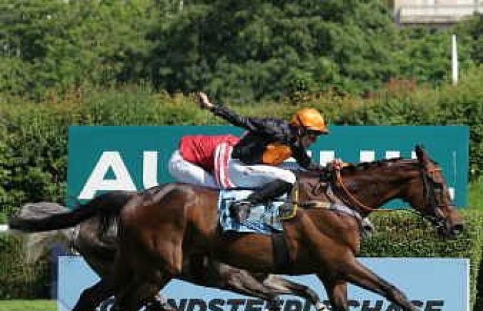 Gran Diose logra el doblete Grand Steeple-Chase de Paris – Prix La Haye Jousselin – Salto