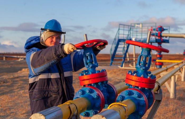 Austria privada de gas por Gazprom