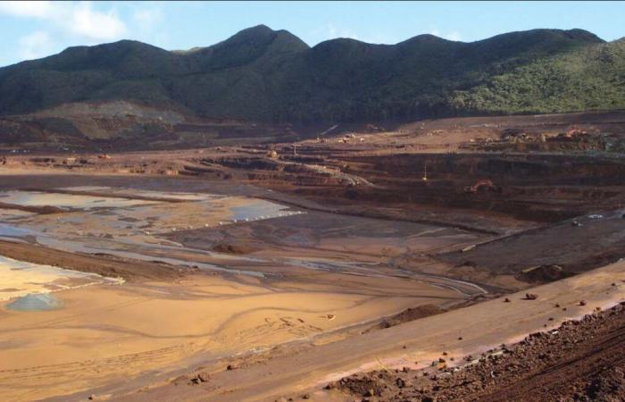 Los estragos ecológicos del oro verde.