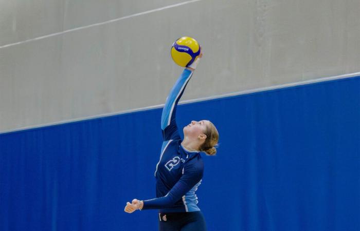 Voleibol: tres victorias consecutivas para los Citadins