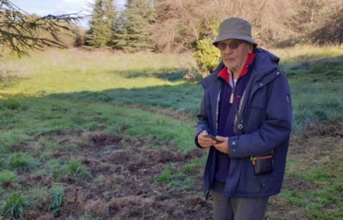 Angoulême: los jabalíes están causando daños en la ciudad