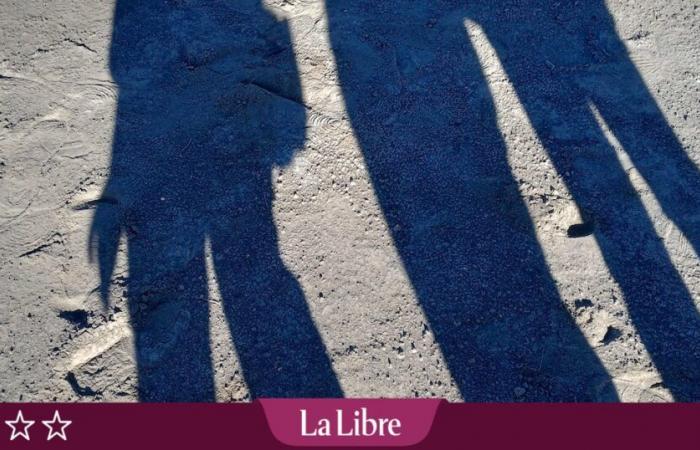 “Hermanas y otras especies vivientes” de Elisabeth Barillé: ¿De qué huyó Lucie de su destino adulto?