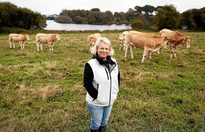 El parque natural regional del Golfo de Morbihan, ¿qué cambia para los residentes?