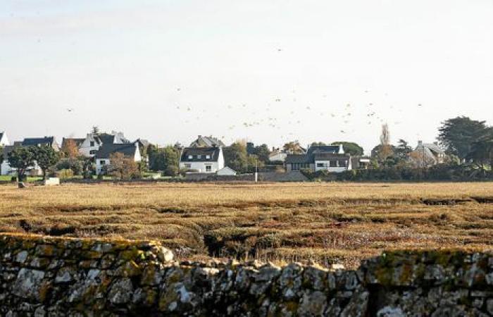 El parque natural regional del Golfo de Morbihan, ¿qué cambia para los residentes?