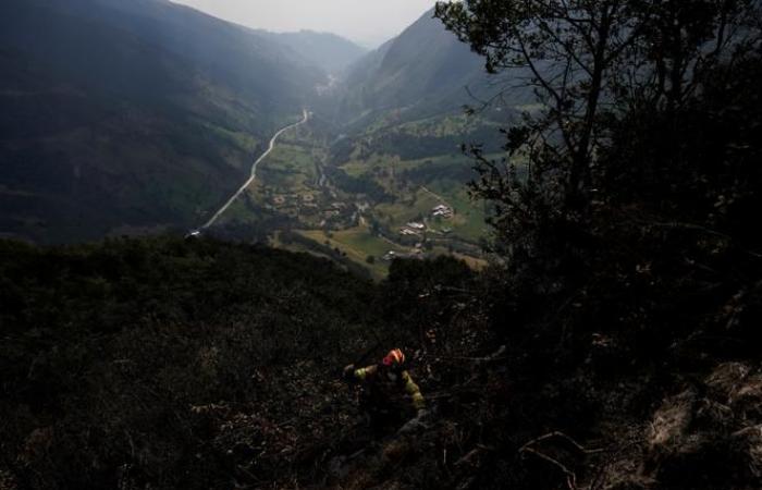 Ecuador declara emergencia nacional para combatir incendios y sequía en el sur del país