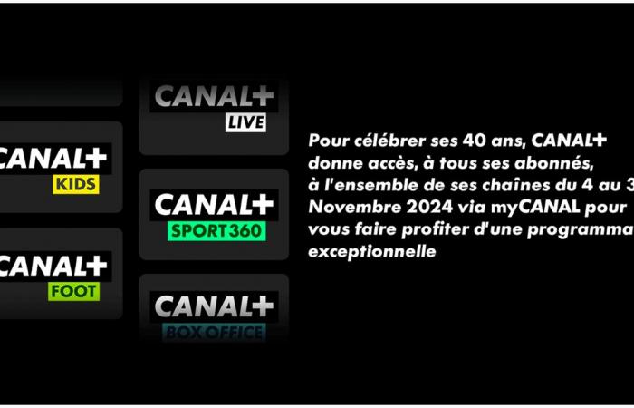 Todos los programas y novedades para noviembre de 2024