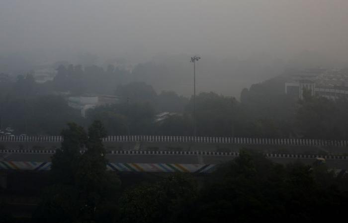 India | La mayoría de las escuelas de Nueva Delhi cierran debido a la contaminación