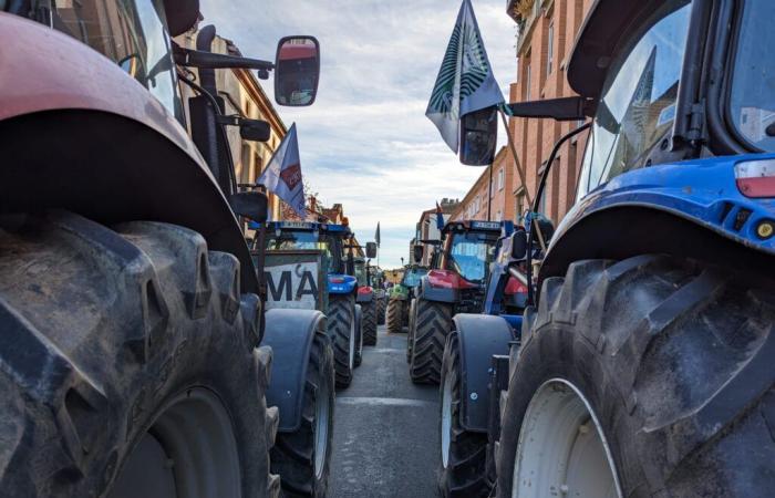 Movilización de agricultores: ¿qué nos espera este lunes en Albi?