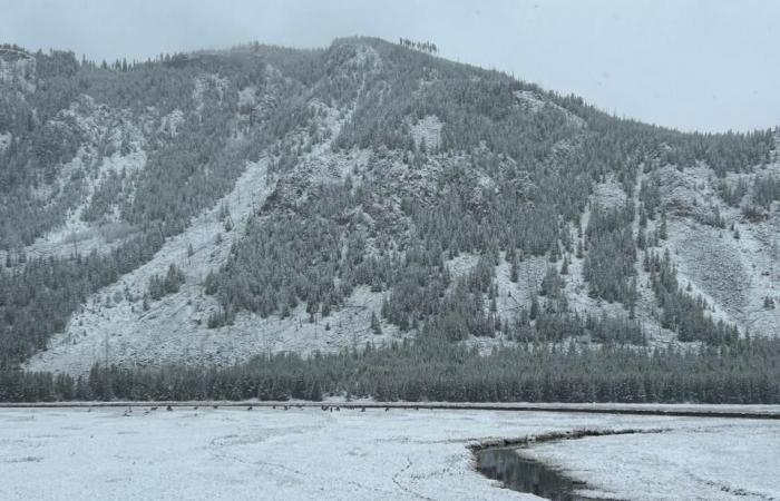 Advertencias de clima invernal en los Estados Unidos, donde se podría ver nieve este fin de semana