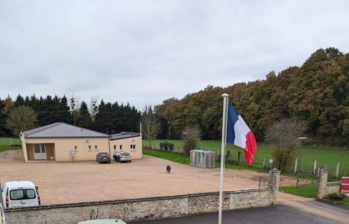 En Calvados, el inquilino de un ayuntamiento ve… ¡un jabalí!