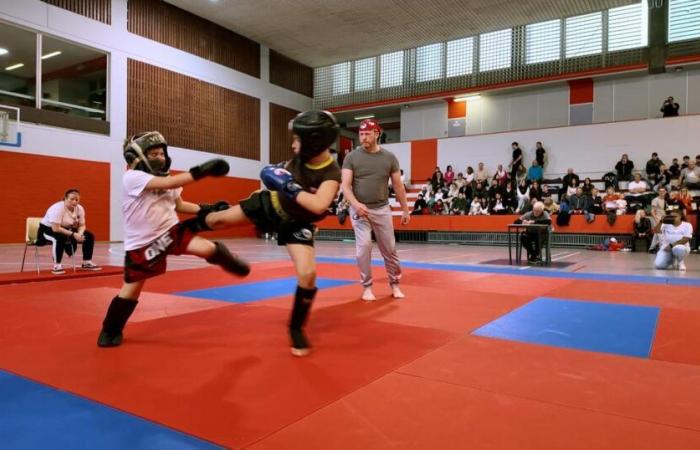 El tatami de salida en el COS del campeonato belga de artes marciales juveniles