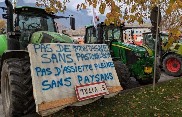 Crisis agrícola: lonas y una primera reunión de agricultores en Saboya y Alta Saboya este lunes