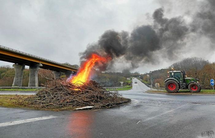 Se encenderán “fuegos de ira” en Ille-et-Vilaine: los agricultores alzan la voz