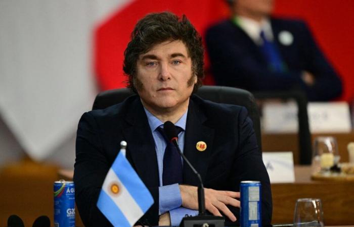 Diplomacia: Javier Milei rechaza parcialmente la declaración final del G20