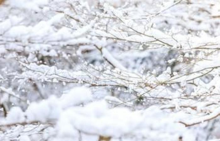 ¿A qué se debe este fenómeno del clima de esta semana?