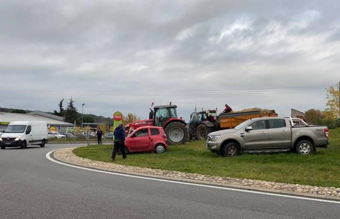 EN VIVO – Siga la movilización de los agricultores en Albi