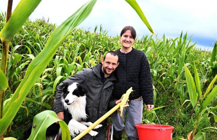 Un mercado de agricultores compuesto por candidatos de “L’Amour est dans le pré” se detiene en Lemosín