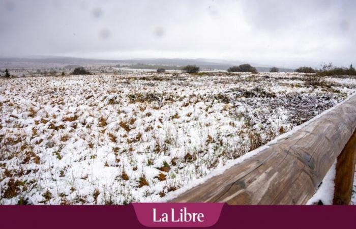 Clima en Bélgica: aquí es dónde y cuándo se esperan las primeras nevadas esta semana