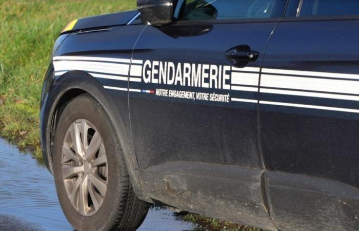 Robo de herramientas en furgonetas de artesanos en Calvados: un equipo detenido