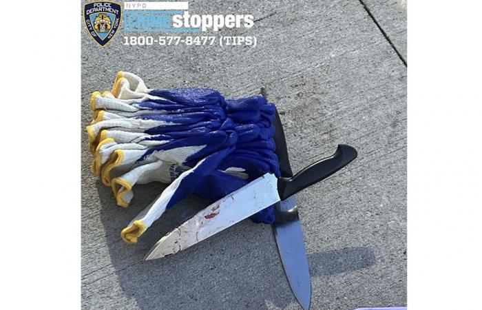 Nueva York | Dos muertos y un herido en ataque con cuchillo; detenido el sospechoso