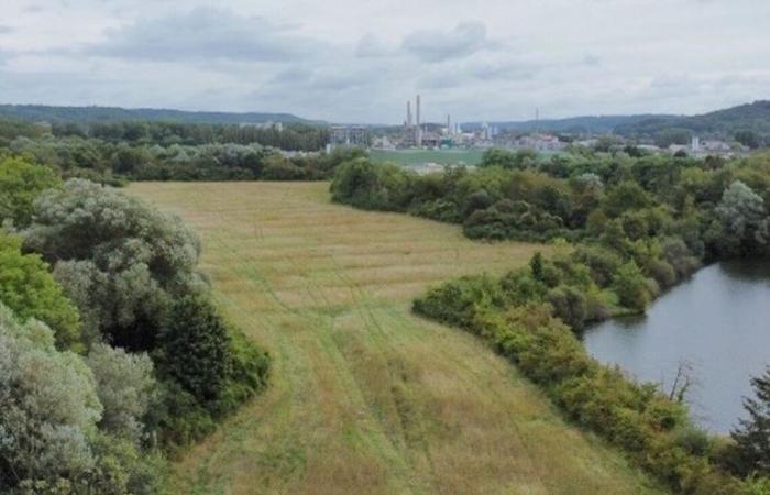 Este parque solar de 8 hectáreas ofrece a los habitantes de Oise la oportunidad de invertir en su construcción