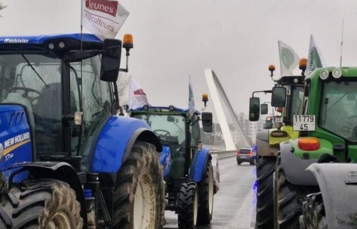 Directo: los agricultores del Loiret instalan una presa filtrante en el puente Europa de Orleans