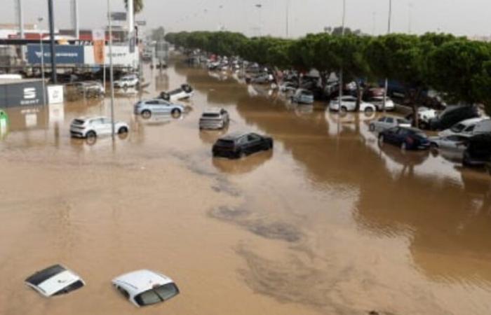 Inundaciones en España: aclamada la mano dura de Marruecos