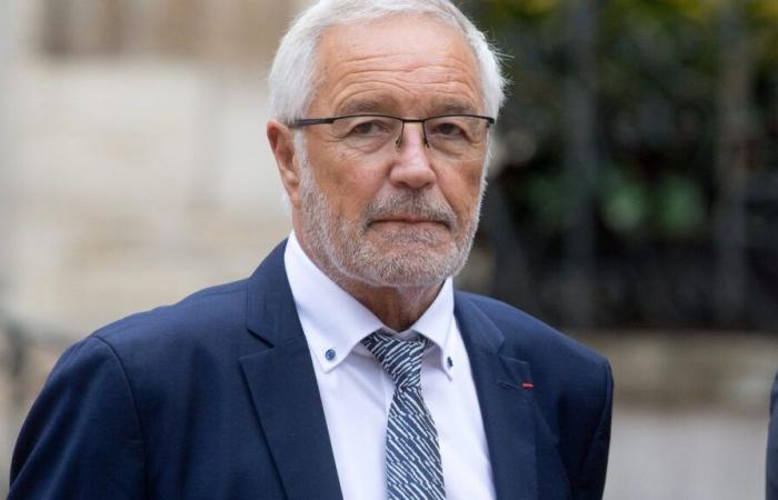 François Rebsamen dejará su cargo de alcalde de Dijon