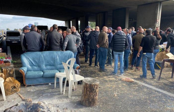 OCCITANIE Primer comité territorial de ayuda agrícola regional