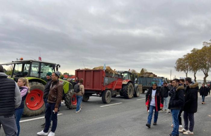 EN VIVO – Siga la movilización de los agricultores en Albi