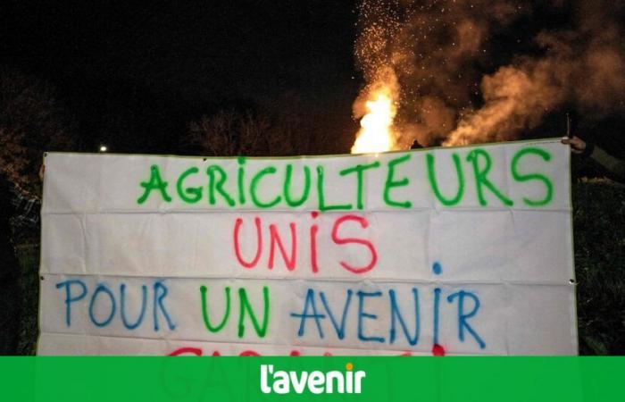 “La muerte está en el prado”: ​​los agricultores franceses se manifiestan este lunes contra el acuerdo UE-Mercosur (vídeos)