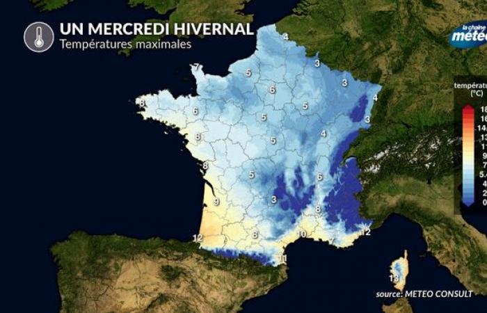 El tiempo de la semana: detalles del día a día del ajetreo