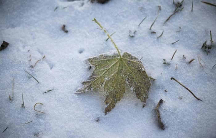 Tormenta invernal sobre Europa: el martes habrá tormenta y luego nevará “hasta abajo”