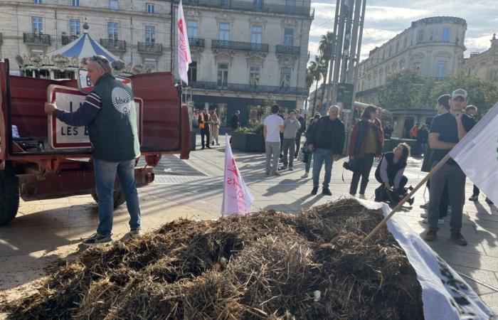 Los agricultores de Hérault quieren más que ayudas