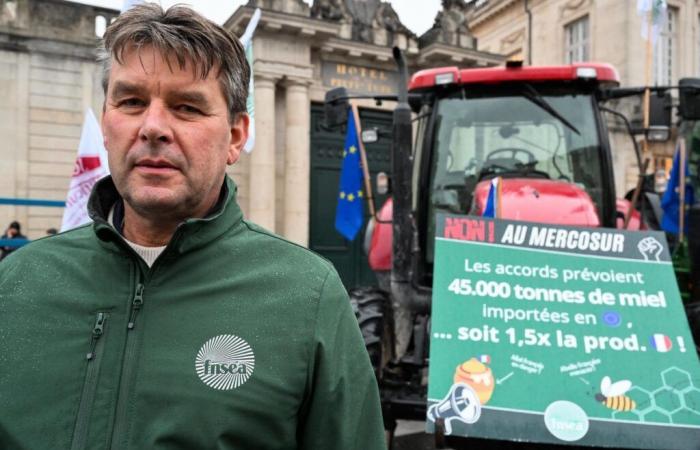 Francia: los agricultores contra el acuerdo con Mercosur