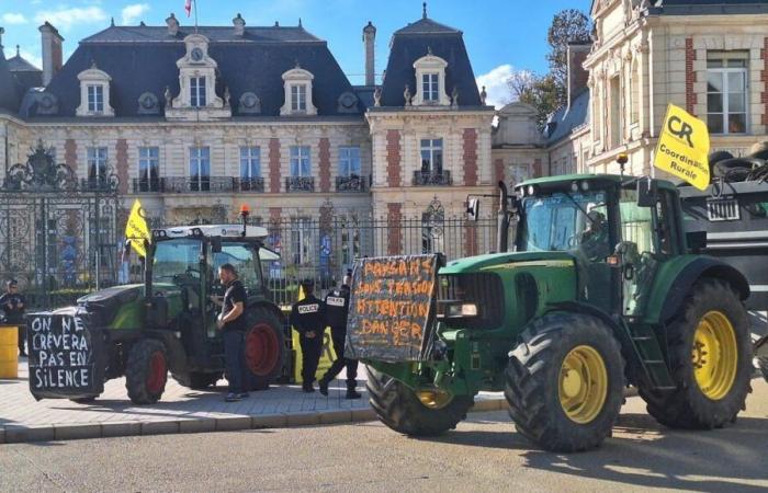 La ira del mundo agrícola: acciones previstas en Vienne y Deux-Sèvres