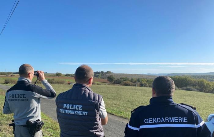 OFB, ONF, Gendarmería: controles completos dirigidos a cazadores en el Jura