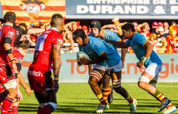 Top 14: Marvin Orie operado, regresa al Toulouse, Bruce Devaux cerca de la recuperación… Las últimas noticias de la enfermería de la USAP