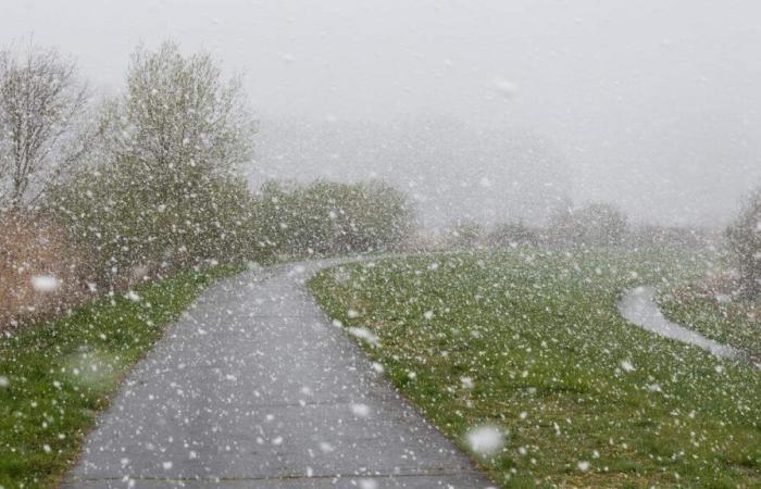 Fuertes rachas de viento además de nieve: Luxemburgo en alerta amarilla este martes