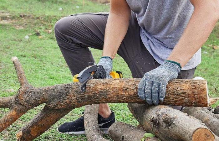 Anímate: esta mini motosierra tiene un precio de locura desde hace unos días en Amazon