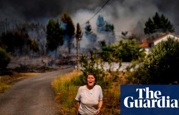 La crisis climática es la culpable de decenas de olas de calor “imposibles”, revelan estudios | Crisis climática