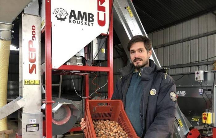 Simon Aussems produce las únicas avellanas ecológicas en Mayenne