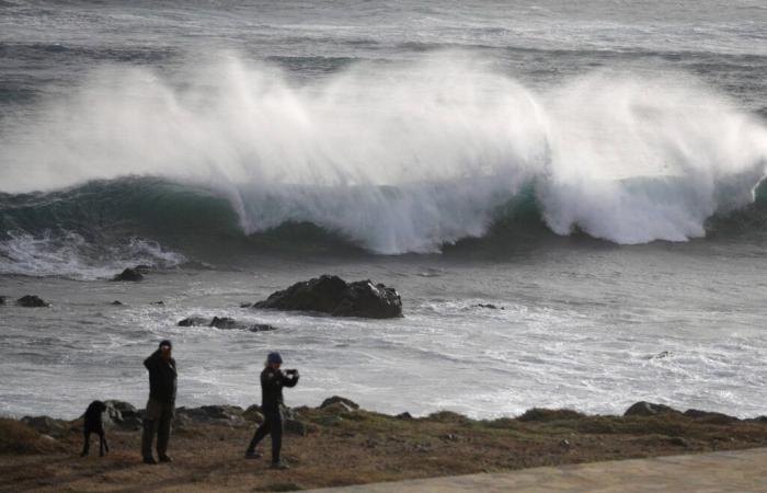 Viento fuerte: se esperan picos de 200 km/h en Córcega, esto es lo que se espera en Var y los Alpes Marítimos