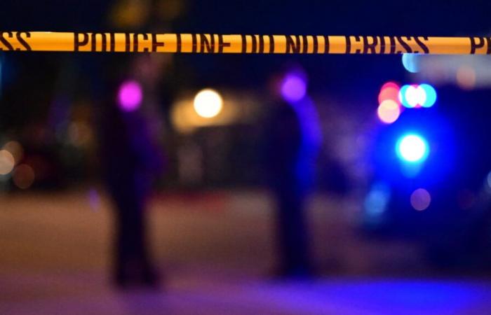 Mujer muerta y dos policías heridos por un perro en Boston