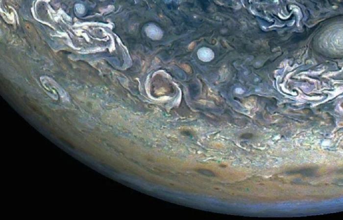 Digna de una película de ciencia ficción: la sonda Juno de la NASA capta la imagen de un delfín en la superficie de Júpiter